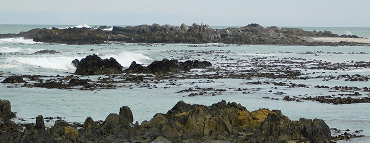 Coastal Disaster Readiness Guide